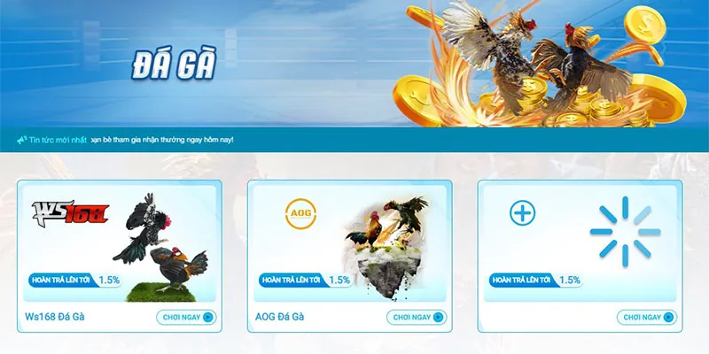 Tổng quan chi tiết về sảnh đá gà Hi88