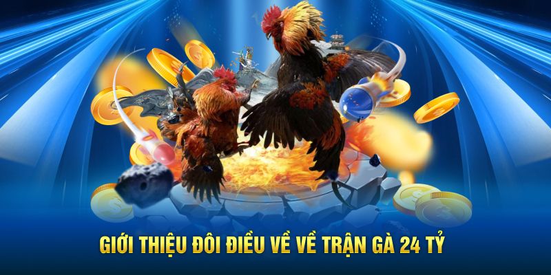 Giới thiệu đôi điều về về trận gà 24 tỷ